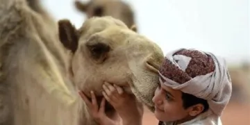 عالجتهم “ببول الابل”.. دكتورة تسببت بوفاة 13 شخصا في السعودية